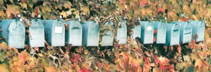 mailbox-leaves-header