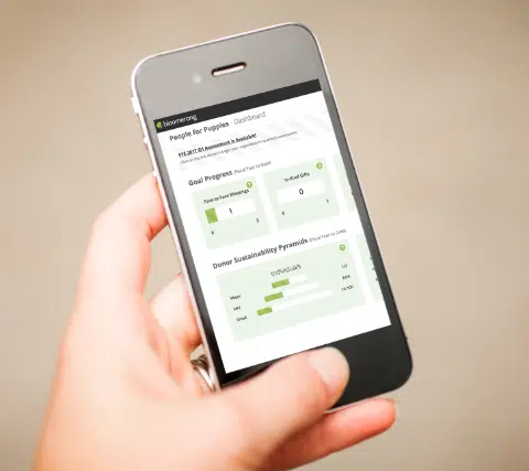 Sustainability Scorecard on Mobile Phone