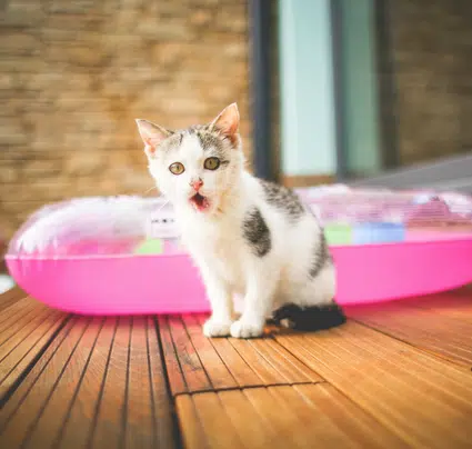 major donor resistance