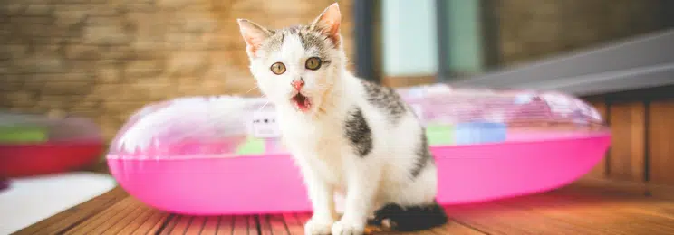 nonprofit newsletters