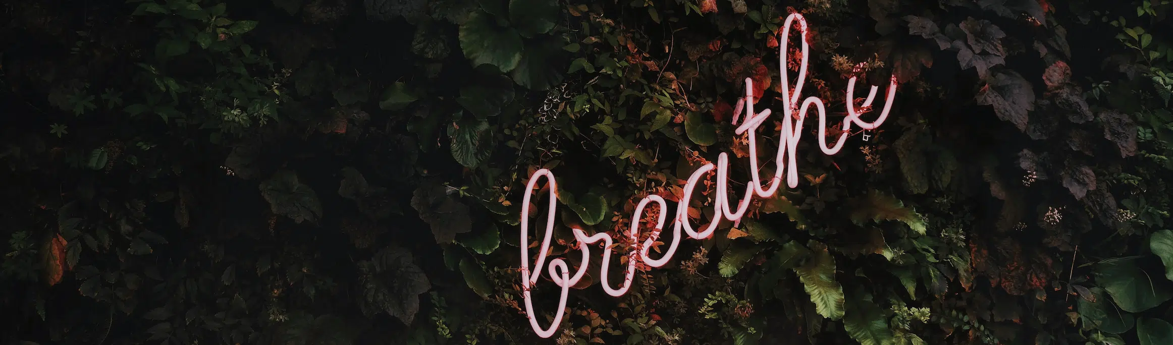 Year-End Giving Season