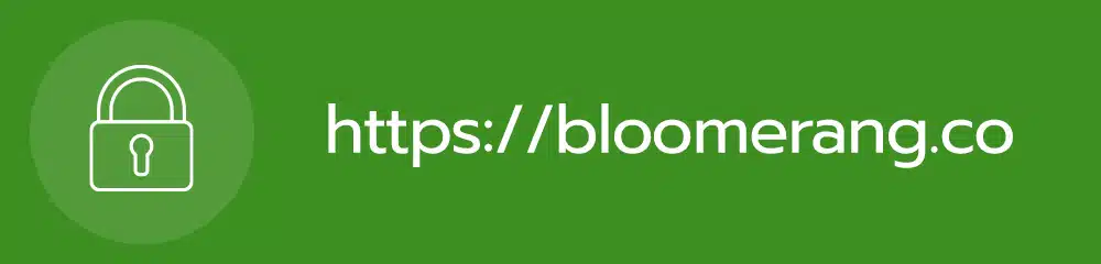 A locked padlock icon is shown next to the text "https:bloomerang.com" that signals the website is following current industry web security practices and protects the confidentially of visitor data. 