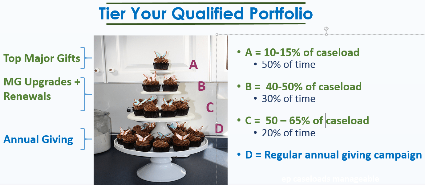 major donor portfolio