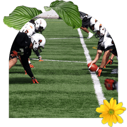 Engage local athletes in a team sports peer-to-peer fundraiser.