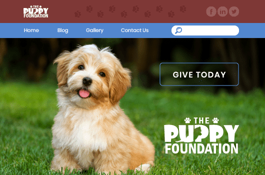 Make sure your website has an easy way for your supporters to donate online.