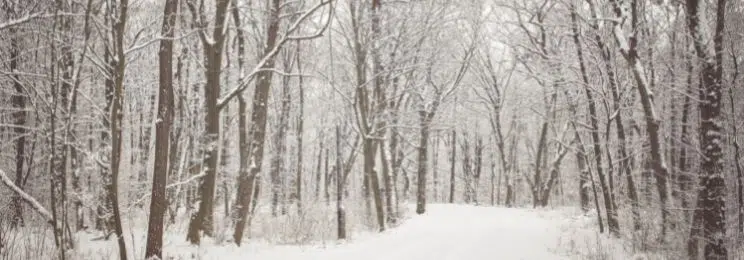 nonprofit volunteer morale