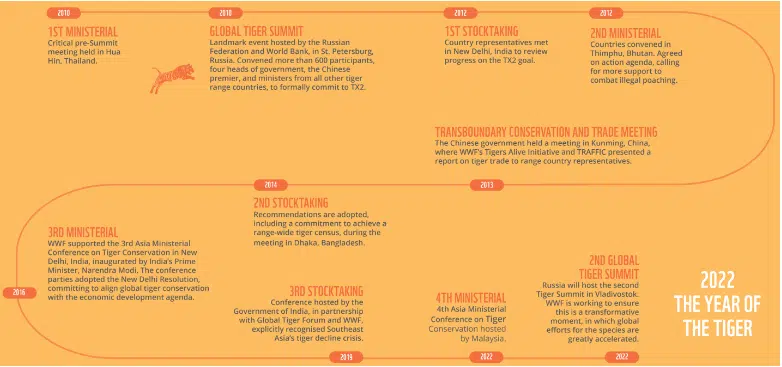 digital reporting for nonprofits