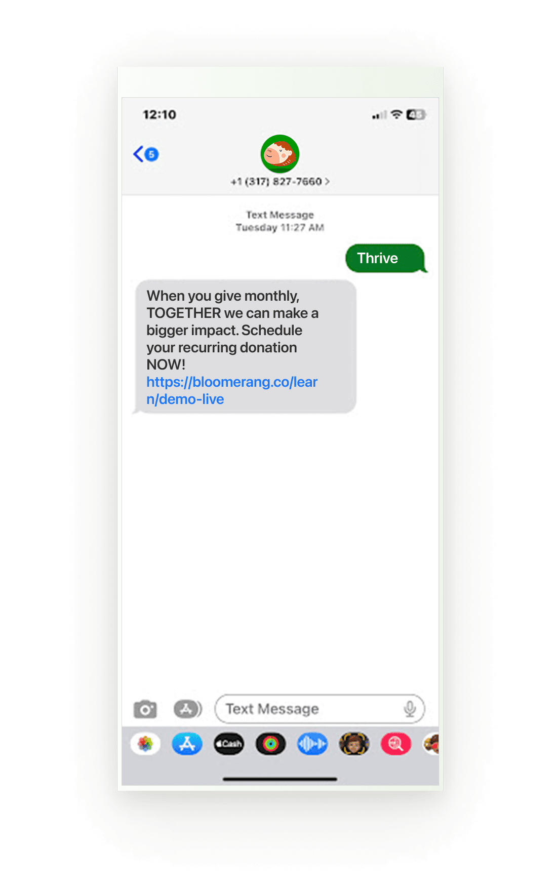 Text to donate mobile preview