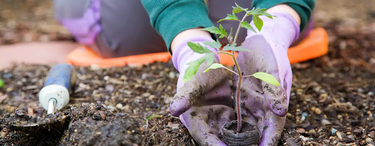 In this post, we’ll review 21 volunteer statistics that nonprofits should be aware of.