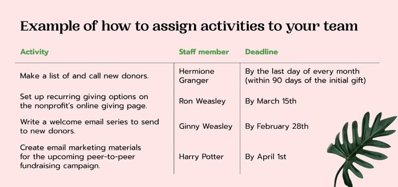 Example nonprofit development plan