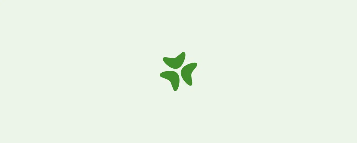 Default Bloomerang graphic