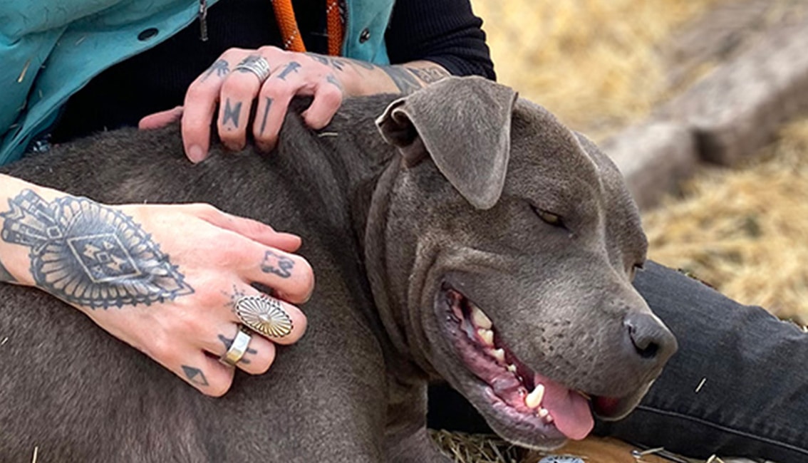 Espanola Humane Society featured image