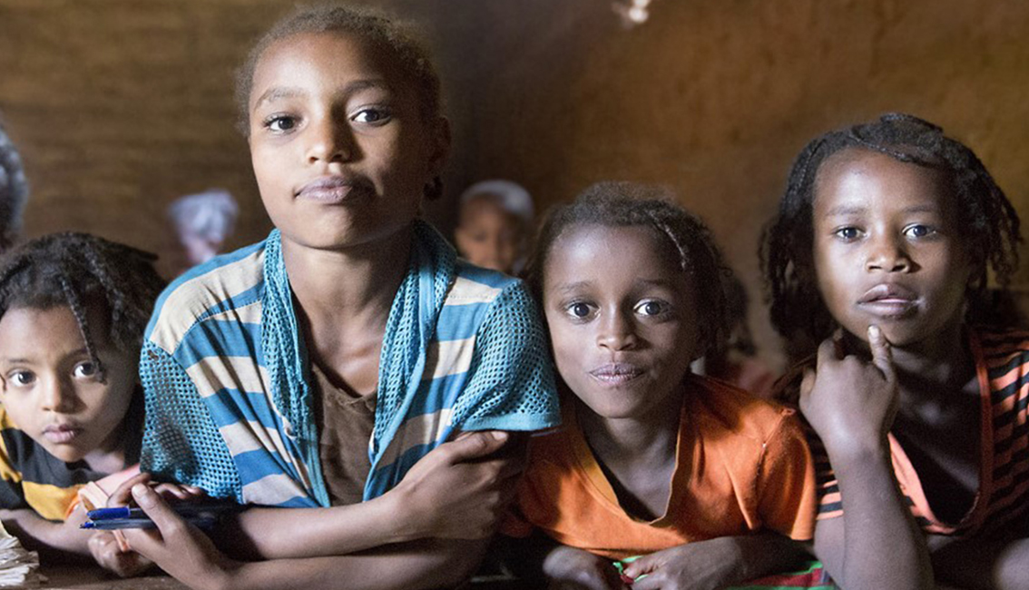 Roots Ethiopia featured image