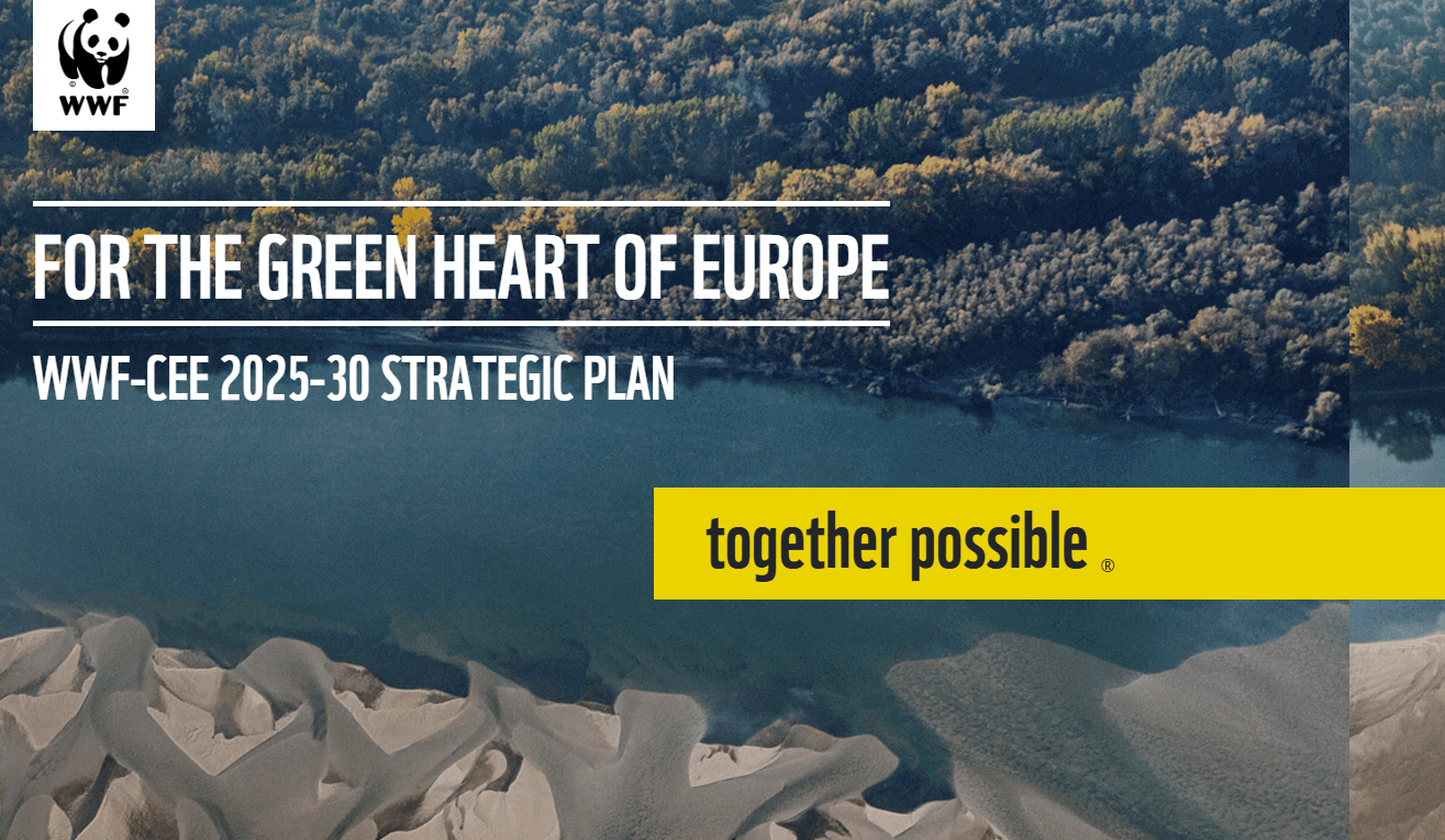 The cover of the WWF-CEE 2025-30 Strategic Plan