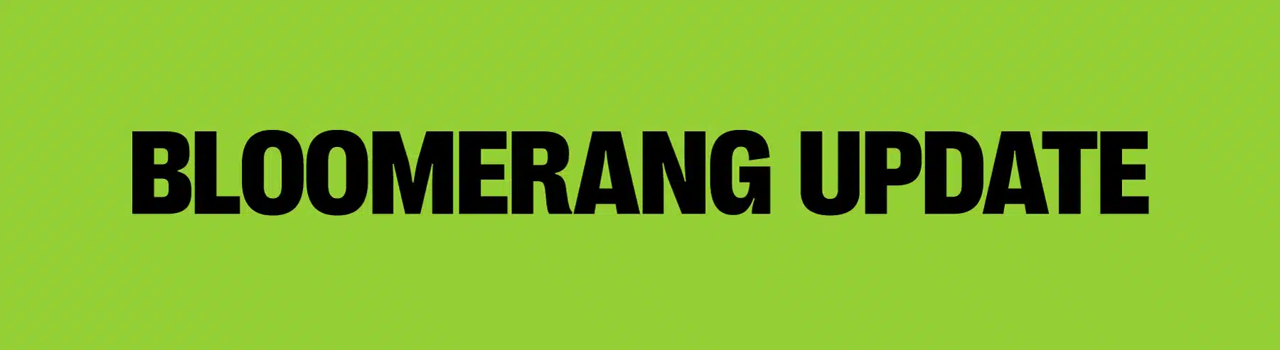 Bloomerang Update