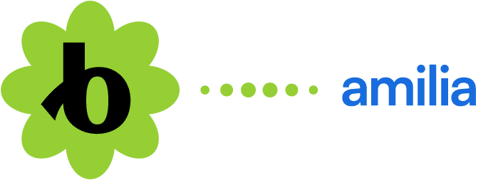 Bloomerang and Amilia Integration