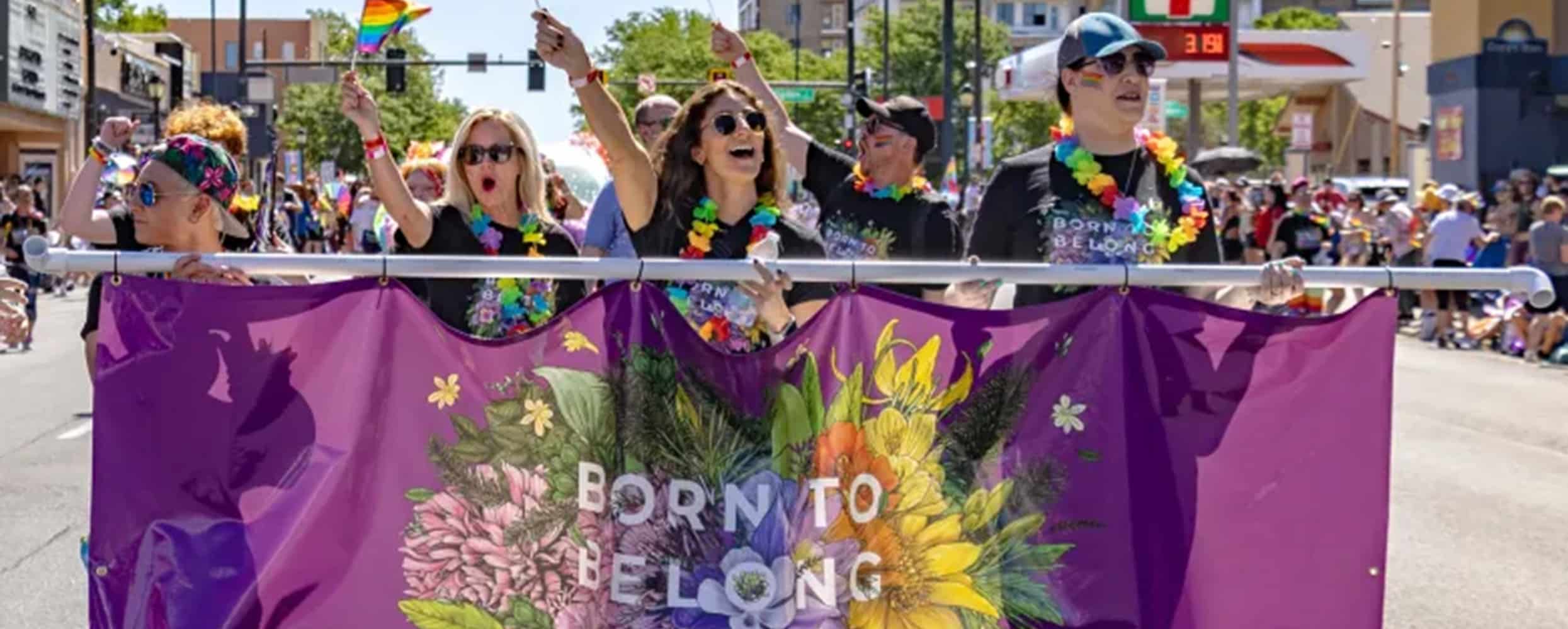 The Delores Project featured image