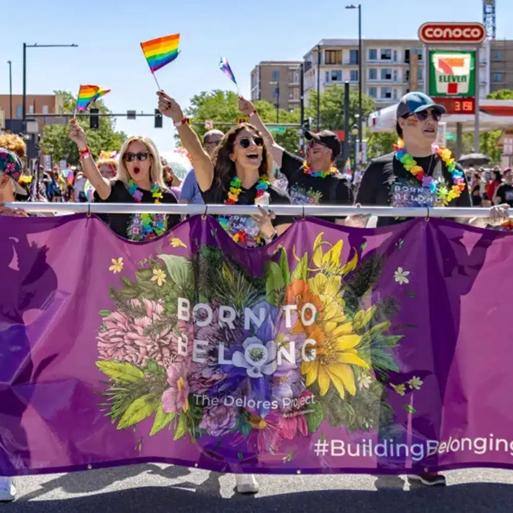 Delores Project photo