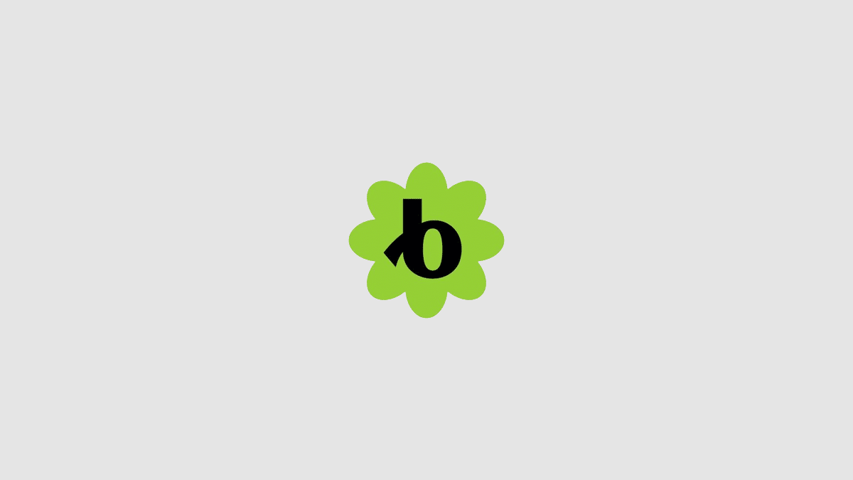 bloomerang placeholder