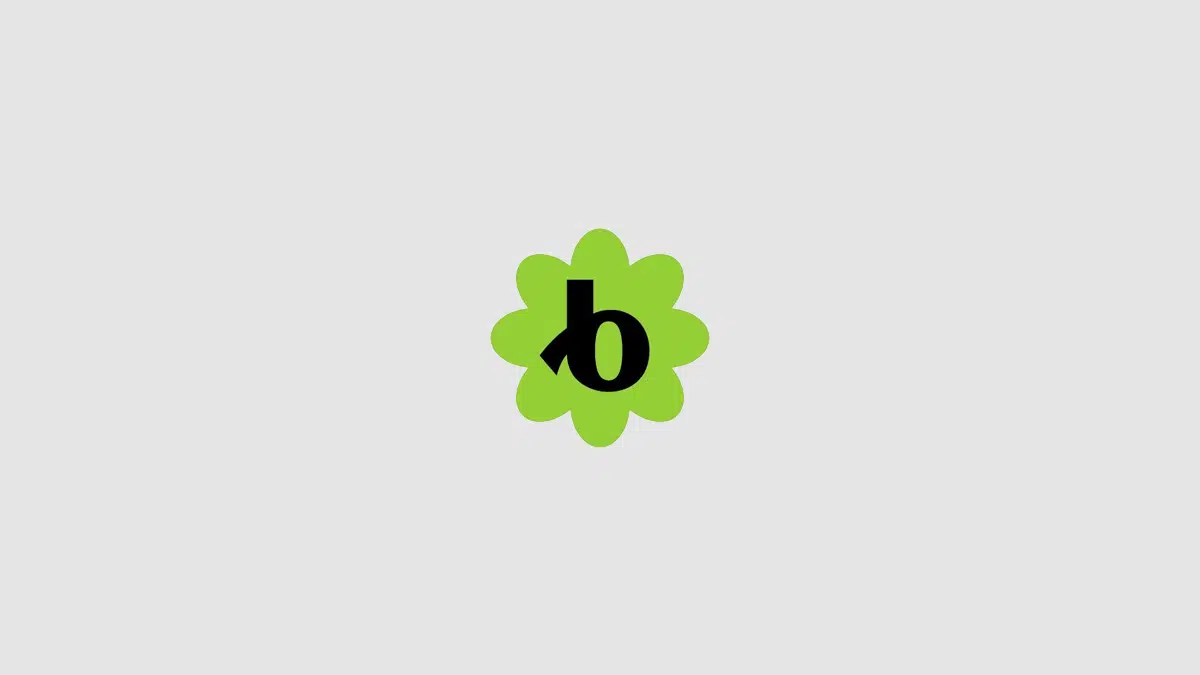 bloomerang placeholder
