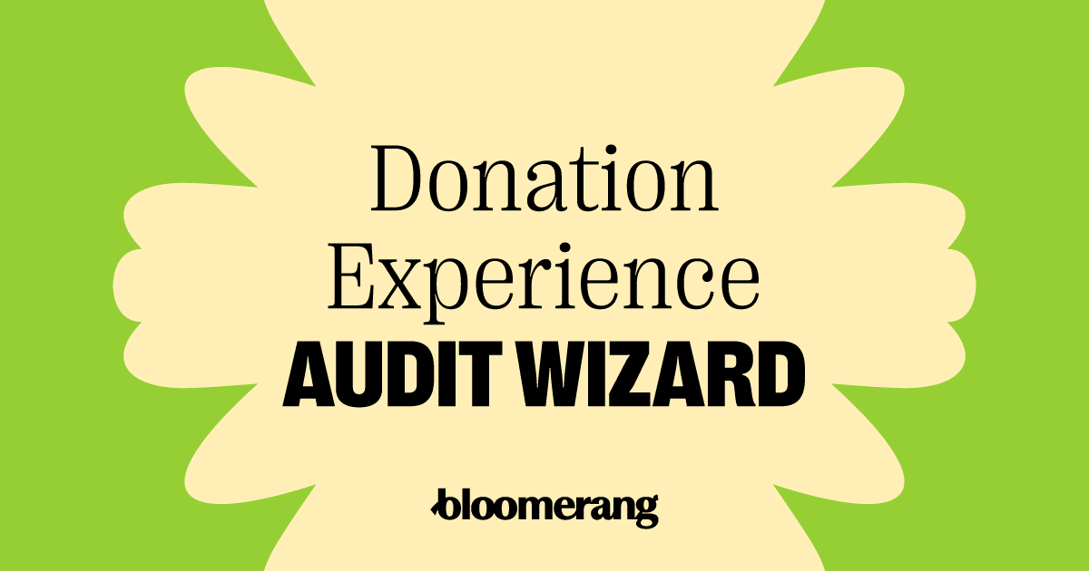 Donation Experience Audit Wizard Feature