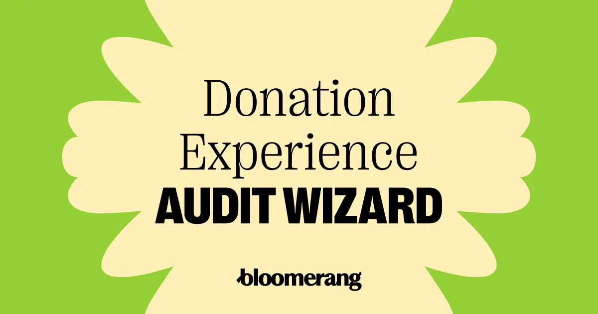 Donation Experience Audit Wizard Feature